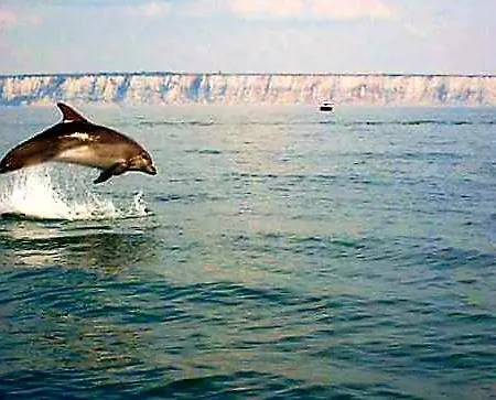 La Mersoise Apartman Mers-les-Bains